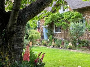 Beautiful Thatched Cottage with Piano