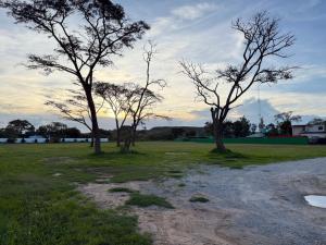 Stand alone Executive 2BR villa in Emerald Hill Estate Move In ReadyComfort