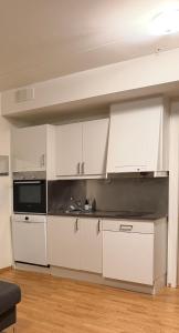 Modern apartment near Oslo