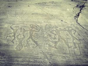 Chalet in the chestnut woods