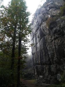 Chalet in the chestnut woods