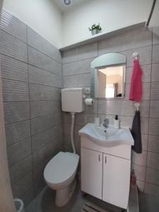 Сјајни лешник