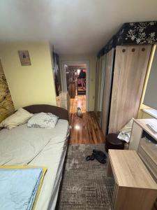 apartman u jevrejskoj