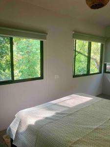 Ital Mountain modern hideaway with tropical vibes