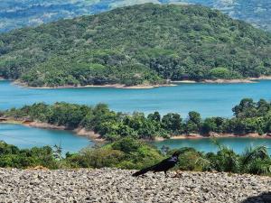 La Vista del Descanso