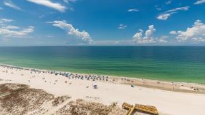 Phoenix Gulf Towers 1203