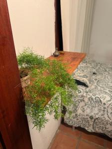 Casa em condomínio a 20m da praia com piscina