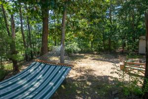 Home Near Oceanside Beaches Dog Friendly