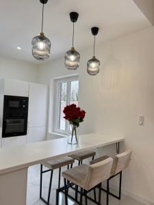 Sublime logement neuf