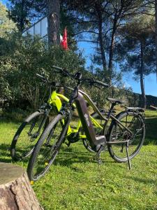 Holiday Travel Genius-Mobile Home Base near Pisa