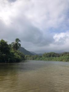 Puerto Manglar Hostal
