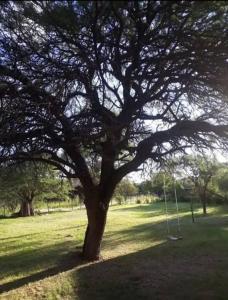 Alamos Brillantes MONOAMBIENTE