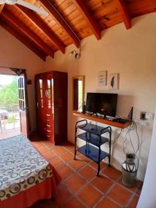 Alamos Brillantes MONOAMBIENTE