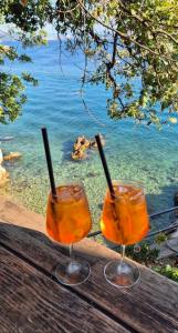 Luxury Sea View Villa DIJANA with Infinity Pool & Jacuzzi Near Rijeka