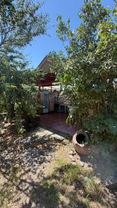 Large house for the weekend