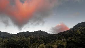 Entre Árboles Lodge