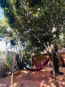 Apartamento 4 quartos Contagem