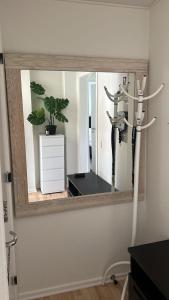 Modern Nyborg Suites