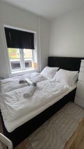 Modern Nyborg Suites