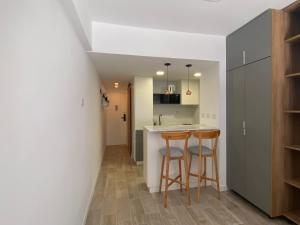 Moderno monoambiente Plaza Mitre