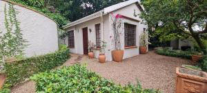 Tranquility on Musgrave - Pisa