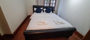 Tranquility on Musgrave - Pisa