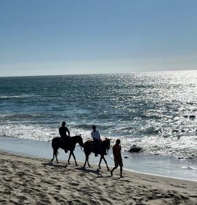 Apartamento Eyzaguirre 03 - Zorritos