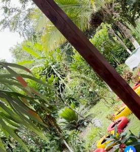 El Molino - Your perfect getaway awaits you here!