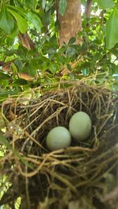 Casa de praia com campo de futebol e piscina