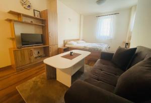 Studio Harmony, Pamporovo