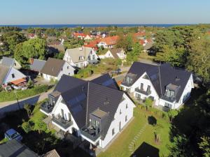 Düne 7 Strandhafer