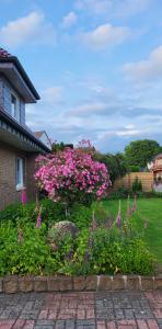 Ferienwohnung in Spelle-Venhaus