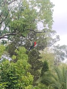 Cozy Ground Floor with Outdoor Picnic Area