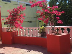 Hotelpensionlahermosabarahona