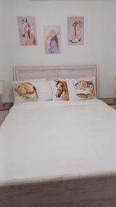 The Wellington Equestrian Luxe Retreat