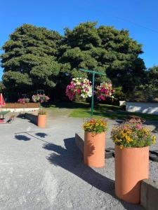 Graune Pet Farm Self catering apartment