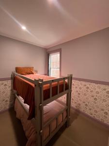Sammys for 4 guests off Hutt street 1 x QUEEN bed and BUNK bed suits family of up to 4- stairs NO ELEVATOR