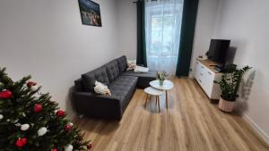 Apartament w Rynku