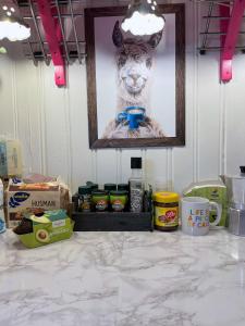 Authentic top floor pearl in the city Center