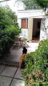 Parking, terrace and patio