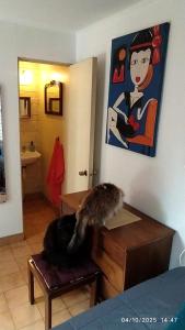 Estacionamiento, terraza y patio