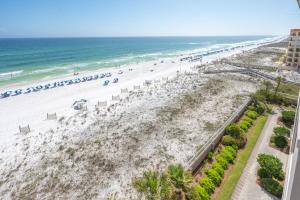 Island Princess #711