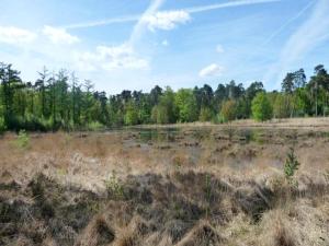 3-Bedroom Central Retreat in Ravels