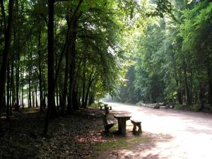 6-Guest Escape with Private Garden & Wi-Fi