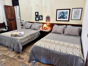 Casa de Campo a 11 km de Flecheiras