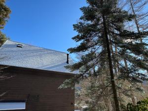 Cabin E Jacuzzi BBQ Hammock Lake Saiko Mt Fuji