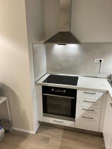 Modern apartment in the Amadeus residence