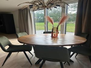 Spacious holiday home for 12-guests, Ulicoten