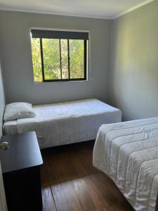 Apartamentos-Magnolia