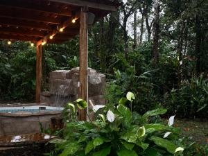 Cabin with private tropical forest